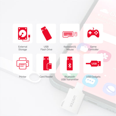 USB-C to USB-A OTG Adapter A1025GNI