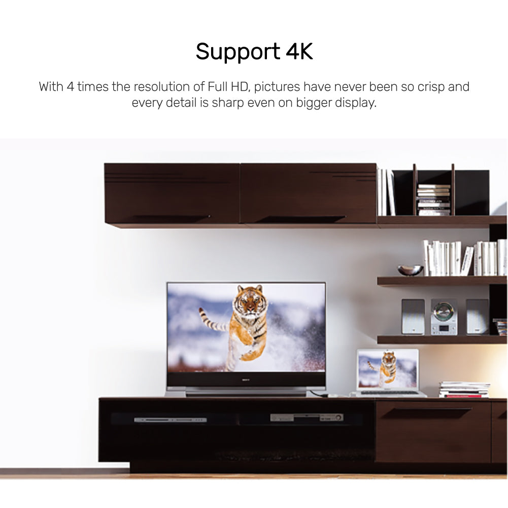 Display Port to HDMI 1.4 4K Adapter Y-6332